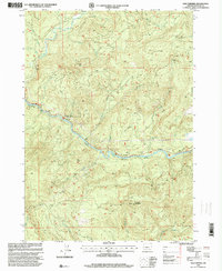 Download a high-resolution, GPS-compatible USGS topo map for Old Fairview, OR (2000 edition)