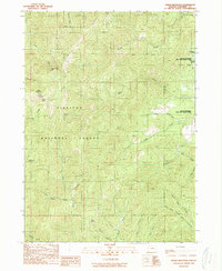 Download a high-resolution, GPS-compatible USGS topo map for Onion Mountain, OR (1989 edition)