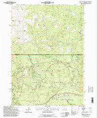 Download a high-resolution, GPS-compatible USGS topo map for Opal Mountain, OR (1998 edition)