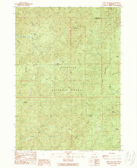 Download a high-resolution, GPS-compatible USGS topo map for Ophir Mountain, OR (1989 edition)