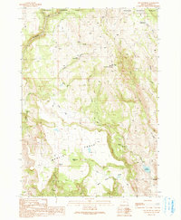 Download a high-resolution, GPS-compatible USGS topo map for Otis Mountain, OR (1991 edition)