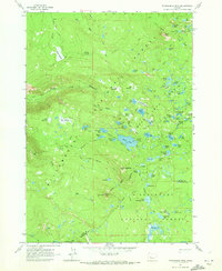 Download a high-resolution, GPS-compatible USGS topo map for Packsaddle Mtn, OR (1973 edition)