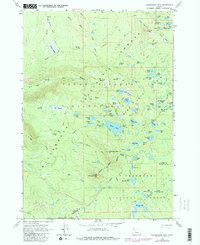Download a high-resolution, GPS-compatible USGS topo map for Packsaddle Mtn, OR (1981 edition)