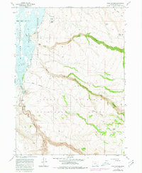 Download a high-resolution, GPS-compatible USGS topo map for Page Springs, OR (1980 edition)