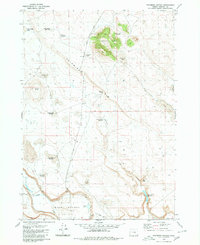 Download a high-resolution, GPS-compatible USGS topo map for Palomino Buttes, OR (1980 edition)