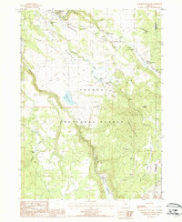 Download a high-resolution, GPS-compatible USGS topo map for Paradise Mountain, OR (1988 edition)