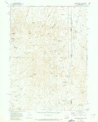 Download a high-resolution, GPS-compatible USGS topo map for Parsnip Peak, OR (1973 edition)