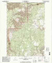 Download a high-resolution, GPS-compatible USGS topo map for Partridge Creek, OR (1998 edition)