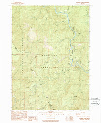 Download a high-resolution, GPS-compatible USGS topo map for Pearsoll Peak, OR (1989 edition)