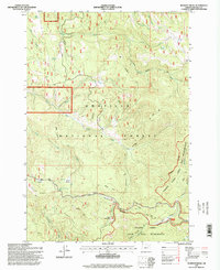 Download a high-resolution, GPS-compatible USGS topo map for Pearson Ridge, OR (1998 edition)
