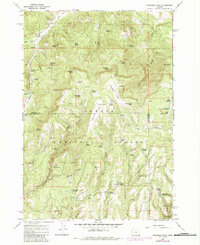 Download a high-resolution, GPS-compatible USGS topo map for Peterson Point, OR (1985 edition)
