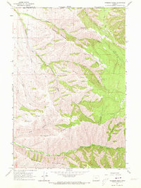 Download a high-resolution, GPS-compatible USGS topo map for Peterson Ridge, OR (1973 edition)