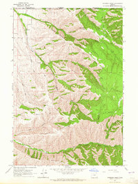 Download a high-resolution, GPS-compatible USGS topo map for Peterson Ridge, OR (1965 edition)