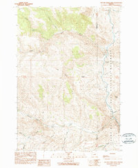 Download a high-resolution, GPS-compatible USGS topo map for Picture Gorge West, OR (1990 edition)