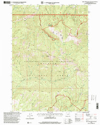 Download a high-resolution, GPS-compatible USGS topo map for Pine Creek Mountain, OR (2000 edition)