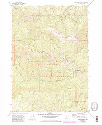 Download a high-resolution, GPS-compatible USGS topo map for Pine Creek Mtn, OR (1984 edition)