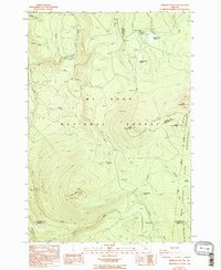 Download a high-resolution, GPS-compatible USGS topo map for Pinhead Buttes, OR (1994 edition)