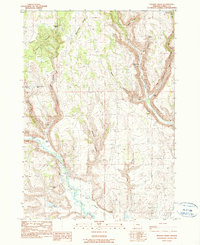 Download a high-resolution, GPS-compatible USGS topo map for Poison Creek, OR (1990 edition)