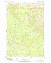 Download a high-resolution, GPS-compatible USGS topo map for Poison Point, OR (1978 edition)