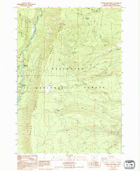 Download a high-resolution, GPS-compatible USGS topo map for Prairie Farm Spring, OR (1994 edition)