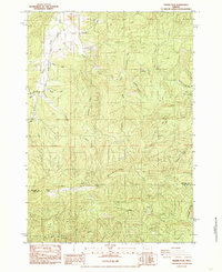 Download a high-resolution, GPS-compatible USGS topo map for Prairie Peak, OR (1985 edition)