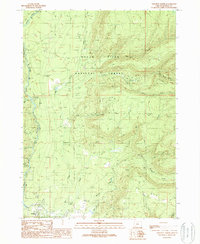 Download a high-resolution, GPS-compatible USGS topo map for Prospect North, OR (1990 edition)