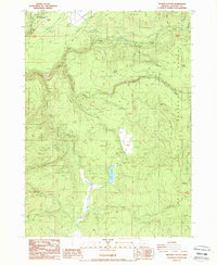 Download a high-resolution, GPS-compatible USGS topo map for Prospect South, OR (1988 edition)