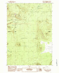 Download a high-resolution, GPS-compatible USGS topo map for Pumice Desert West, OR (1985 edition)