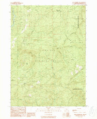 Download a high-resolution, GPS-compatible USGS topo map for Quail Prairie Mtn, OR (1989 edition)