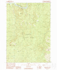 Download a high-resolution, GPS-compatible USGS topo map for Quosatana Butte, OR (1989 edition)