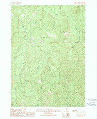 Download a high-resolution, GPS-compatible USGS topo map for Ragsdale Butte, OR (1990 edition)