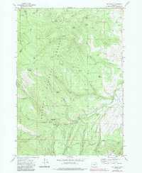 Download a high-resolution, GPS-compatible USGS topo map for Rail Gulch, OR (1985 edition)