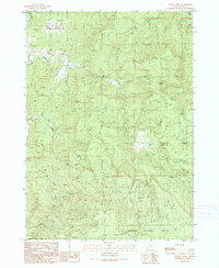 Download a high-resolution, GPS-compatible USGS topo map for Rasler Creek, OR (1990 edition)