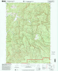 Download a high-resolution, GPS-compatible USGS topo map for Rasler Creek, OR (2001 edition)