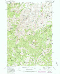 Download a high-resolution, GPS-compatible USGS topo map for Rastus Mtn, OR (1985 edition)