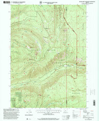 Download a high-resolution, GPS-compatible USGS topo map for Red Blanket Mountain, OR (2000 edition)