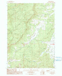 preview thumbnail of historical topo map of Douglas County, OR in 1990