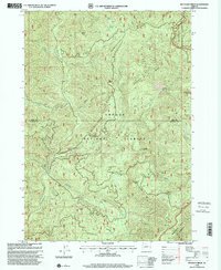 Download a high-resolution, GPS-compatible USGS topo map for Reynolds Ridge, OR (2000 edition)