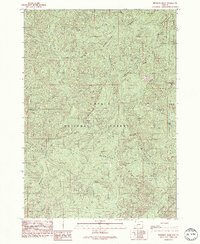 Download a high-resolution, GPS-compatible USGS topo map for Reynolds Ridge, OR (1990 edition)