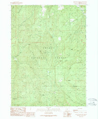 Download a high-resolution, GPS-compatible USGS topo map for Richter Mountain, OR (1990 edition)