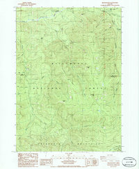 Download a high-resolution, GPS-compatible USGS topo map for Rigdon Point, OR (1986 edition)