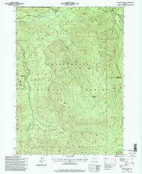 Download a high-resolution, GPS-compatible USGS topo map for Rigdon Point, OR (1998 edition)