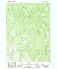 Download a high-resolution, GPS-compatible USGS topo map for Rio Canyon, OR (1988 edition)