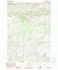 Download a high-resolution, GPS-compatible USGS topo map for Ritter, OR (1990 edition)