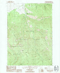 Download a high-resolution, GPS-compatible USGS topo map for Roberts Creek, OR (1988 edition)