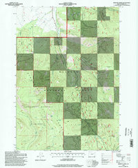 Download a high-resolution, GPS-compatible USGS topo map for Roberts Creek, OR (1998 edition)