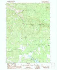 Download a high-resolution, GPS-compatible USGS topo map for Robinson Butte, OR (1998 edition)