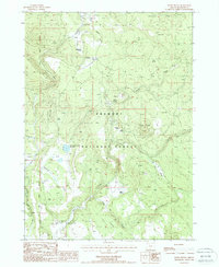 Download a high-resolution, GPS-compatible USGS topo map for Rodeo Butte, OR (1988 edition)