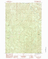 Download a high-resolution, GPS-compatible USGS topo map for Roman Nose Mtn, OR (1984 edition)