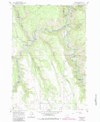 Download a high-resolution, GPS-compatible USGS topo map for Rondowa, OR (1984 edition)